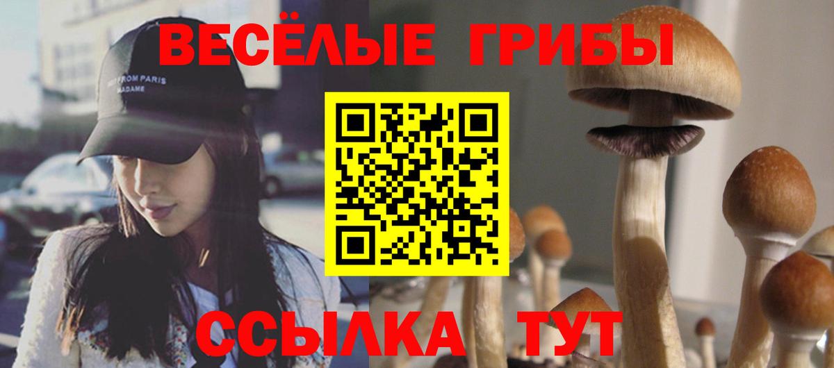 Псилоцибиновые грибы прущие грибы Магнитогорск